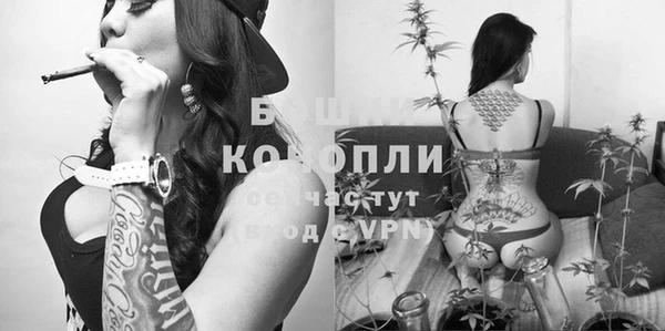 хмурый Коряжма